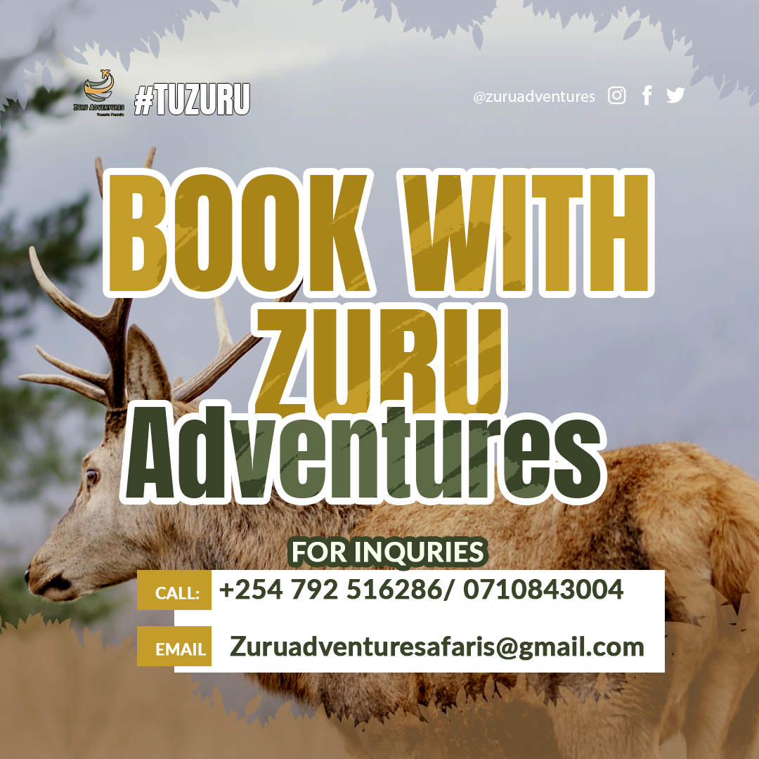 Zuru Adventure